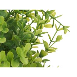 Ibergarden Planta Artificial Grande de Hojas Pequeñas, Maceta Blanca, Plástico Verde/Blanco 23x23x36 cm (6 Unidades)