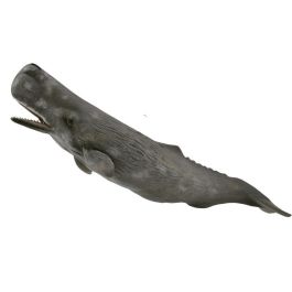 Collecta 88835 Cachalote XL Figura de Animal Marino Versión Mejorada con Piel Rugosa y Manchas Blancas para Niños +3 Años Precio: 9.9583. SKU: B1DKEFDF7B