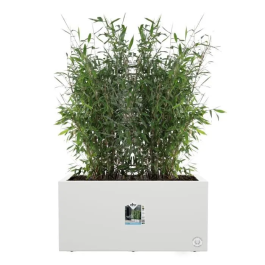 Elho ELH8711904499600 Jardinera Vivo Next Long 60, Blanco, L 59 x B 30 x H 29 cm, Interior/Exterior, 100% Reciclado