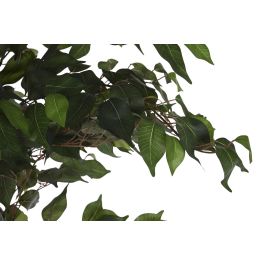DKD Home Decor Árbol Higuera de Bengala Verde 90 x 180 x 90 cm (2 Unidades)