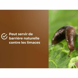 Or Brun OBRPPOU6U Mulch de Puzolana Marrón Dorado para Protección de Plantas - 6L