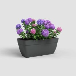 Artevasi ART5600442843149 Maceta Capri Campana XL Plástico 80 cm Antracita para Jardín Artevasi ART5600442843149 Maceta Capri Campana XL Plástico 80 cm Antracita para Jardín
