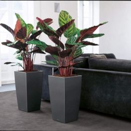 Lechuza LEC4008789181930 Maceta Cubico Premium 40 Rojo con Reserva de Agua Kit Completo Lechuza LEC4008789181930 Maceta Cubico Premium 40 Rojo con Reserva de Agua Kit Completo