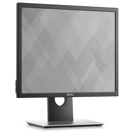Dell Monitor Pro Plus 19 Pulgadas IPS 60Hz Negro