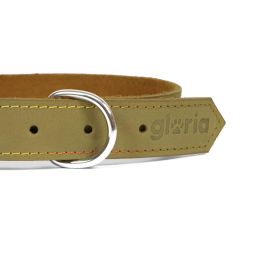 Gloria Oasis Collar Perro Piel Nobuck Verde 45 cm x 18 mm, Doble Capa, Confort, Suave y Muy Duradero