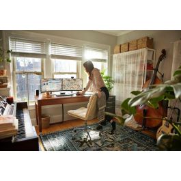 HP P24v G5 Monitor