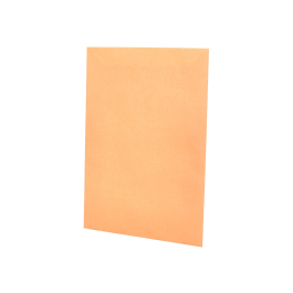 Liderpapel Bolsa N.0 Cel Caña Sobres Salarios 100x145mm Tira Silicona Caja 1000 Unidades