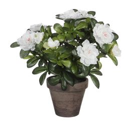 Mica Decorations Azalea Artificial Blanca en Maceta Gris Ø11,5x27cm Planta Artificial Precio: 13.50000025. SKU: S7908171