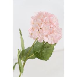 Flores Decorativas Romimex Rosa Hortensia 50 x 105 x 50 cm