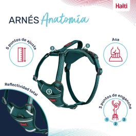 Halti Anatomy Arnés Turquesa S Cuerpo 39-56 cm Halti Anatomy Arnés Turquesa S Cuerpo 39-56 cm