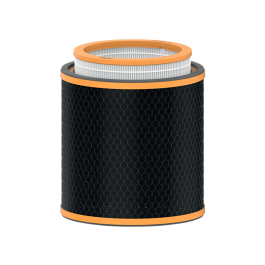 Leitz Filtro HEPA Z-3000/Z-3500 para Purificador de Aire Grande | Antipolvo, Antivirus y Olores - Recambio Compatible Precio: 91.6900006. SKU: B15KKY2V5D