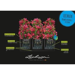 Jardinera LECHUZA Trio Stone 30 - kit completo, negro grafito - autorriego - 100 x 32,5 x 34,5 cm