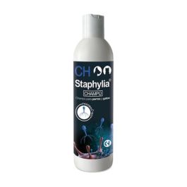 Staphylia Champú 250 mL Precio: 18.49999976. SKU: B1DPPJHAYM