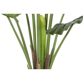 DKD Home Decor Planta Tropical Taro Verde PE 64 x 120 x 64 cm (2 Unidades)