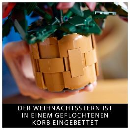 LEGO 10370 Icons Flor de Pascua, Juego Construcción 608 Piezas, 18+ Años