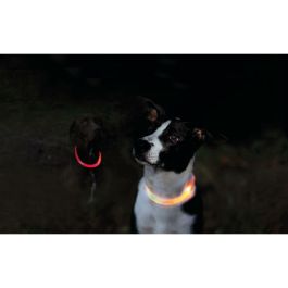 Collar LED para Mascotas Trixie Naranja XS/S