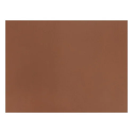 Fabriano S3215627 Bolsa 25 Cartulinas 185 gr 50 x 65 cm Marrón Precio: 18.49999976. SKU: B13CA4YR59