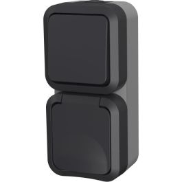 Interruptor doble + Toma vertical - QUARX - Aqua Pro - Exterior, vertical, IP55, 250V, 16A Precio: 21.99715507. SKU: B1AELL38GR