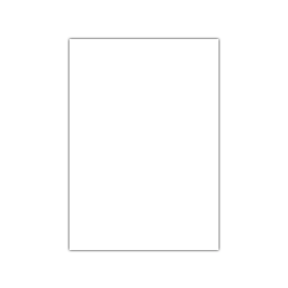 Liderpapel Cartulina 50x65 cm 180g/m2 Blanco Paquete 25 Hojas para Dibujo y Manualidades