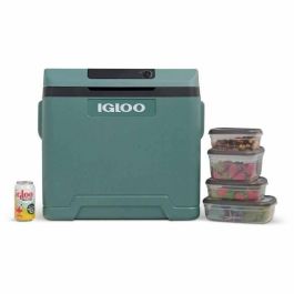 Igloo IGL7315091531979 Nevera Eléctrica, Doble Voltaje 12V y 230V, 42 Litros, Serie Abeto