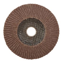 Workpro Disco de Láminas Plano Óxido de Aluminio T27, Ø100 x 16 mm, Grano 80, para Acero Endurecido y Aleado