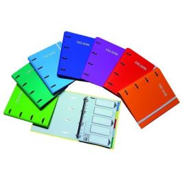 Carpebloc Pacsa Exclusive Carton Forrado Soft A4 4 An.Mixtas 25Mm Con Rec. 120 Hj. Cuadric.5X5 + 5 Separadores Surtido (8 Col.) (Set de 4) Precio: 38.50000022. SKU: B1GTQRTY9Y