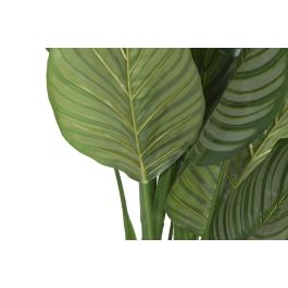 Planta Tropical DKD Home Decor Verde 80 x 120 x 80 cm (2 Unidades) Planta Tropical DKD Home Decor Verde 80 x 120 x 80 cm (2 Unidades)