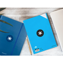 Antartik Recambio Papel A4 100 Hojas 100gr Rayado Horizontal 4 Taladros Bandas Colores