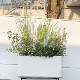 Jardinera Muret - DEROMA - Cosmo - Perla - Con reserva de agua - Ruedas - 78 cm Jardinera Muret - DEROMA - Cosmo - Perla - Con reserva de agua - Ruedas - 78 cm