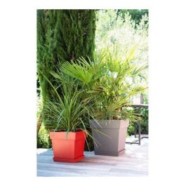 EDA Maceta Cuadrada Toscana 50 cm - 87 L - Taupe | Anti-UV, Resistente a Heladas, Con Retención de Agua | Para Interior y Exterior