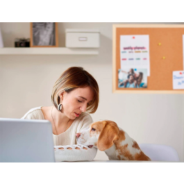 Q-connect Pizarra Corcho 60x40 cm Marco Madera