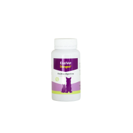 Enzivet 60 Comprimidos Enzivet 60 Comprimidos Precio: 15.95. SKU: B1AZ9R7X3T