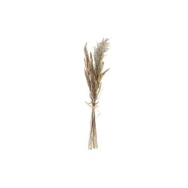 DKD Home Decor Ramo de Flor Seca, Marrón Beige, 6 Unidades, Dimensiones 3 x 53 x 12 cm Precio: 39.9663. SKU: B1H6HPQH6D