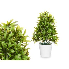 Planta Grande Verde Hojas Finas Maceta Blanca Ibergarden 18X35CM (6 Unidades) Precio: 33.4999995. SKU: B1B28ZLYAH