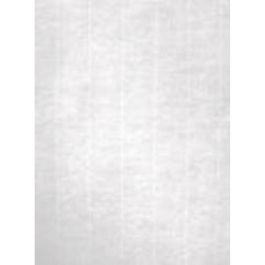 Papel Apli Blanco A4 100 Hojas (12 Unidades)