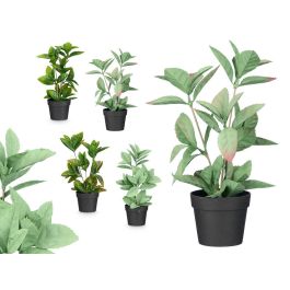 Maceta Planta Hoja Punta Mate Brillo Surtidos Col Ibergarden 16X35CM (12 Unidades) Precio: 36.58999949. SKU: B18J39MH38
