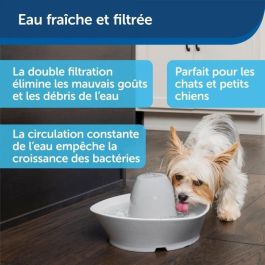 PetSafe Fuente de Agua Cerámica STREAMSIDE 1.8L - Bebedero Automático para Gatos y Perros con Filtro de Agua Fresca PetSafe Fuente de Agua Cerámica STREAMSIDE 1.8L - Bebedero Automático para Gatos y Perros con Filtro de Agua Fresca