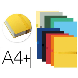 Exacompta Carpeta de proyecto DIN A4 lomo 130 mm extensible con tira de velcro colores surtidos Precio: 65.59000052. SKU: B1JJC4G2TG