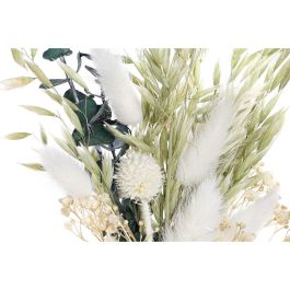 DKD Home Decor Juego 2 Unidades Decoración Shabby Chic Beige Verde, Adornos de Flor Seca y MDF para Hogar, 21 cm Alto x 16 cm Ancho DKD Home Decor Juego 2 Unidades Decoración Shabby Chic Beige Verde, Adornos de Flor Seca y MDF para Hogar, 21 cm Alto x 16 cm Ancho