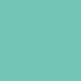 Cricut 2007718 Rollo de vinilo de termotransferencia, Menta, 305 mm x 1220 mm Cricut 2007718 Rollo de vinilo de termotransferencia, Menta, 305 mm x 1220 mm