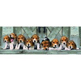 CLEMENTONI Puzzle Panorama Beagles High Quality 1000 Piezas CLEMENTONI Puzzle Panorama Beagles High Quality 1000 Piezas Precio: 11.49999972. SKU: B16QRVSCAF