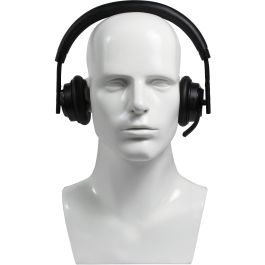 Plusonic W320 Dual DECT