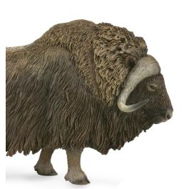 Collecta 88837 Figura Buey Almezclero Animal Ártico, Talla L, Modelo Detallado con Pelaje Grueso para Niños +3 Años Collecta 88837 Figura Buey Almezclero Animal Ártico, Talla L, Modelo Detallado con Pelaje Grueso para Niños +3 Años