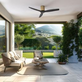 Ventilador de Techo Cecotec EnergySilence Aero 5500 Aqua Negro 40 W Ø132 cm