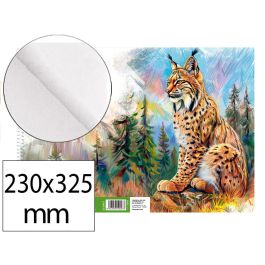 Bloc Dibujo Liderpapel Artistico Natura Espiral 230x325 mm 20 Hojas 130 gr-M2 Sin Recuadro Perforado 5 unidades