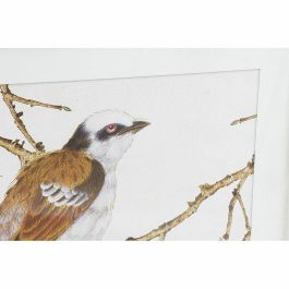 Cuadro DKD Home Decor 60 x 2,5 x 60 cm Pájaro Shabby Chic (4 Piezas) Cuadro DKD Home Decor 60 x 2,5 x 60 cm Pájaro Shabby Chic (4 Piezas)