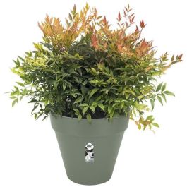 Loft Urban Round Flower Pot - Plastic - Percé - Tank - con ruedas - Ø40 - Verde Loft Urban Round Flower Pot - Plastic - Percé - Tank - con ruedas - Ø40 - Verde