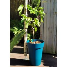 Jardinera RIVIERA SOLEILLA - Plástico - Alto 53 cm - Azul Precio: 38.50000022. SKU: B194HFTFTM