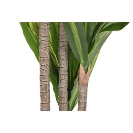 Planta DKD Home Decor Verde 80 x 150 x 80 cm (2 Unidades) Planta DKD Home Decor Verde 80 x 150 x 80 cm (2 Unidades)