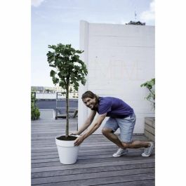 Elho Loft Urban Maceta redonda con ruedas, autorriego integrado, diámetro 50 cm, Gris cálido
